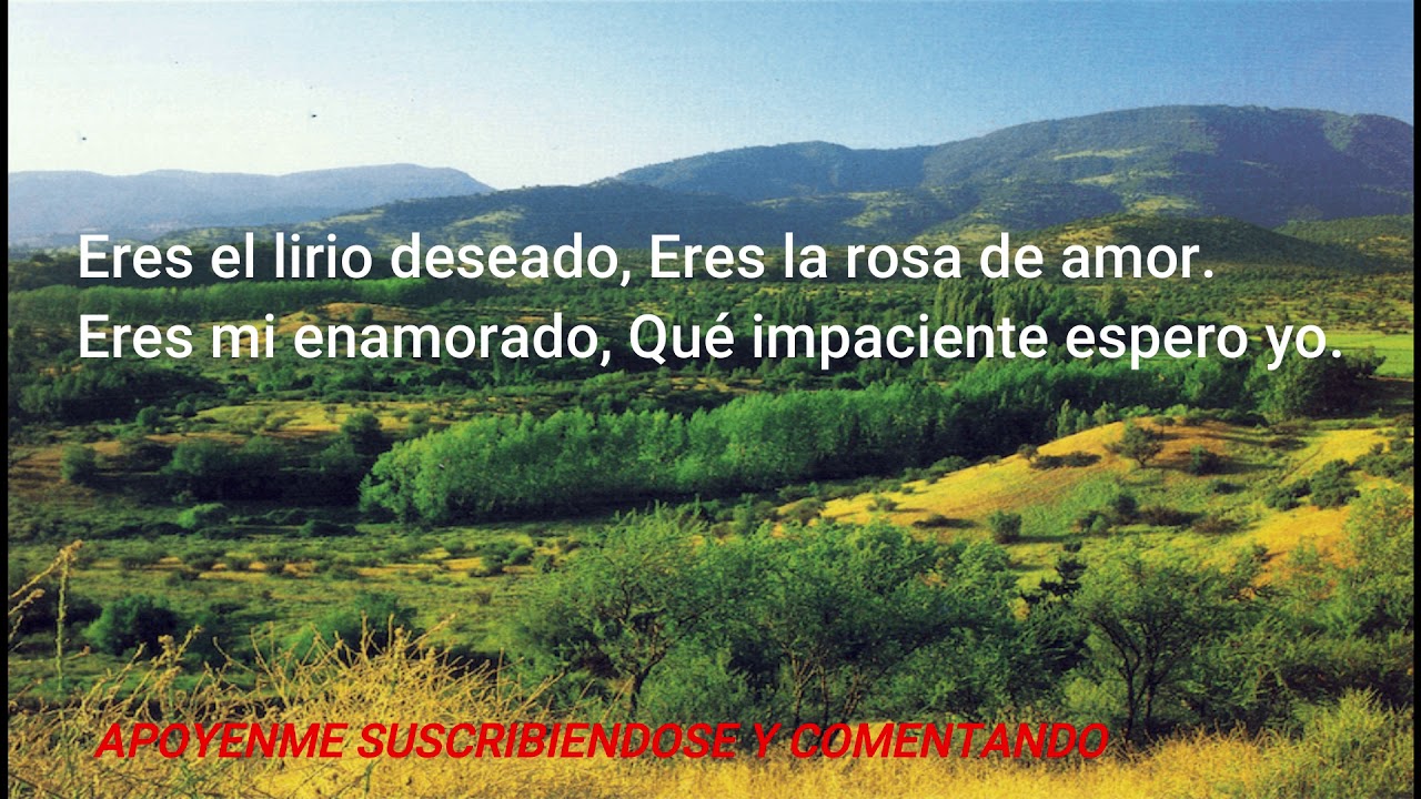 TONO ORIGINAL, A MI ETERNO ENAMORADO. PISTA CON LETRA, RAMON GONZALEZ. KARAHOKE CALIDAD.