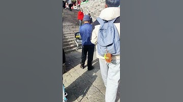 Công nghệ chó robot khuân vác đồ cho du khách