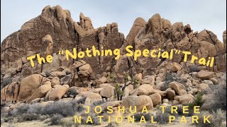 The 'Nothing Special' Hike in Joshua Tree National Park