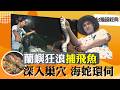 《台灣超經典》【蘭嶼獨有  達悟族拼板舟有禁忌 / 夜捕飛魚  品嘗現撈生魚片 / 搏命跳船  直擊海蛇大本營 】 台灣第一等