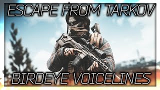 Escape From Tarkov - Birdeye All Voice Lines