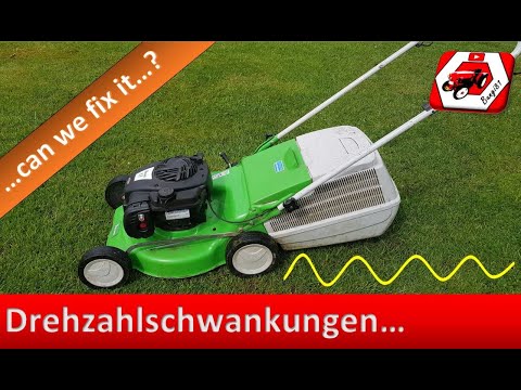 Video: Winterknoblauch: Pflanzen und Pflege