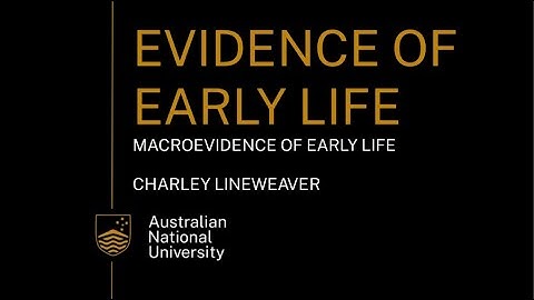 Macroevidence of early life for year 11 and 12 Earth and Environmental Science students