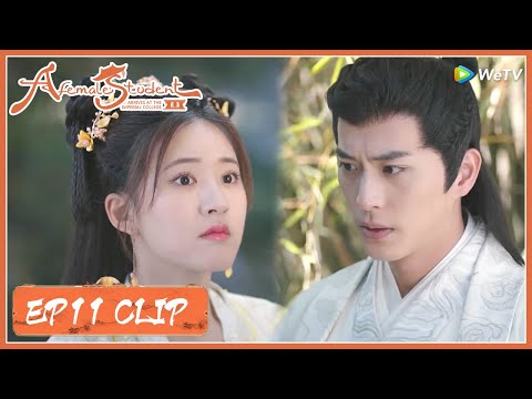 EP11 Clip | Fantastic! They quarrel through others‘ words?! | 国子监来了个女弟子 | ENG SUB