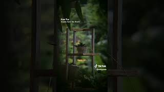 Lirik  Kepada Sunyi Aku Bicara