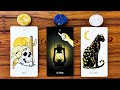 Truth revealed youre finally ready to hear it   pick a card tarot reading