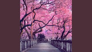 Enchanted Oasis