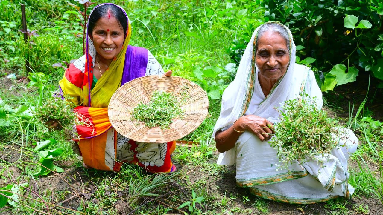 এই শাকটা কি আপনারা কখনো খেয়েছেন ? Vuchrakatha Shak Recipe | villfood