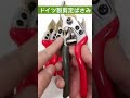 大好評のドイツ製剪定バサミ、抜群な切れ味、30mmの枝まで切断可能！