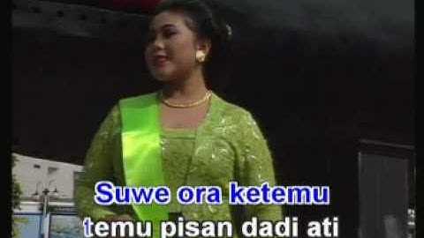 suwe ora jamu 