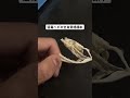 ヤマカガシ 骨格標本#いのししの人