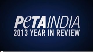 PETA India's 2013 Year-End Review