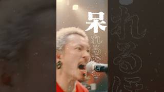 2026年1月28日(水)発売「WANIMA 10th Anniversary Live Movies THE JUNCTION」 #wanima