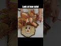 DIY Fall Scarecrow Door Hanger Kit | Easy Front Door Decor Tutorial | Kit 994