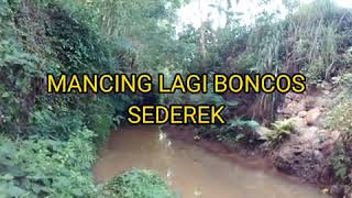 Mancing Lagi Boncos Sederek