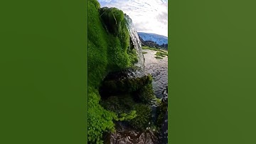 سورة الفتح 🤲🏻 اسلام صبحي