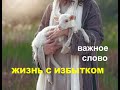 ЖИЗНЬ С ИЗБЫТКОМ - свидетельство - Вячеслав Бойнецкий