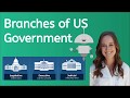 What are the 3 Branches of United States Government?