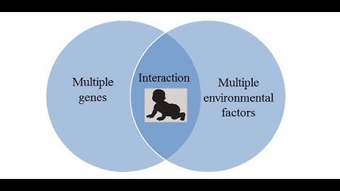 Understanding the Concept of Multifactorial Inheritance