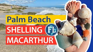 Shelling John D. MacArthur #StatePark Virtual #SeashellHunting