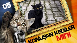 Konuşan Kediler Mini 5 - En Komik Kedi Videoları