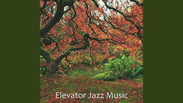 Pulsating Backdrops for Lockdown