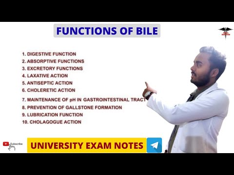 Functions of Bile
