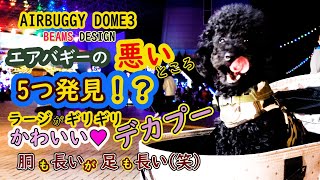 エアバギー のドーム3って改良されたのに５つも悪いところがあった！？トイプードルのBerryがついにAIRBUGGY DOME3 BEAMS DESIGN デビュー！