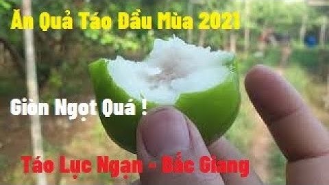 Tét Quả Táo Xuân Mùa 2021 l Nui Doi Luc Ngan 98
