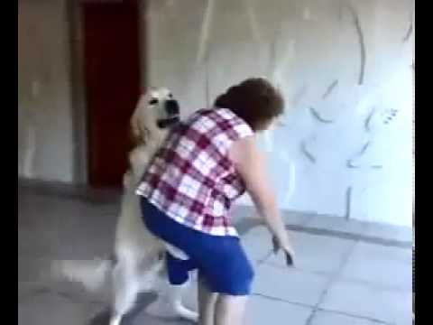 Mulher metendo com cachorro YouTube - YouTube