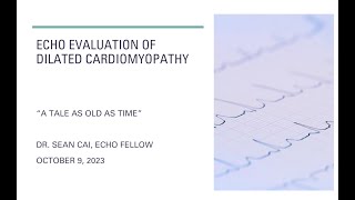 Echocardiographic assessments in dilated cardiomyopathy (DCM)