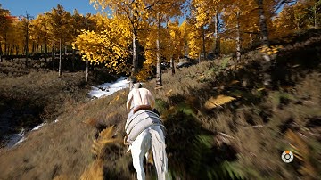 Unreal Engine 4 Horse Rider System v1