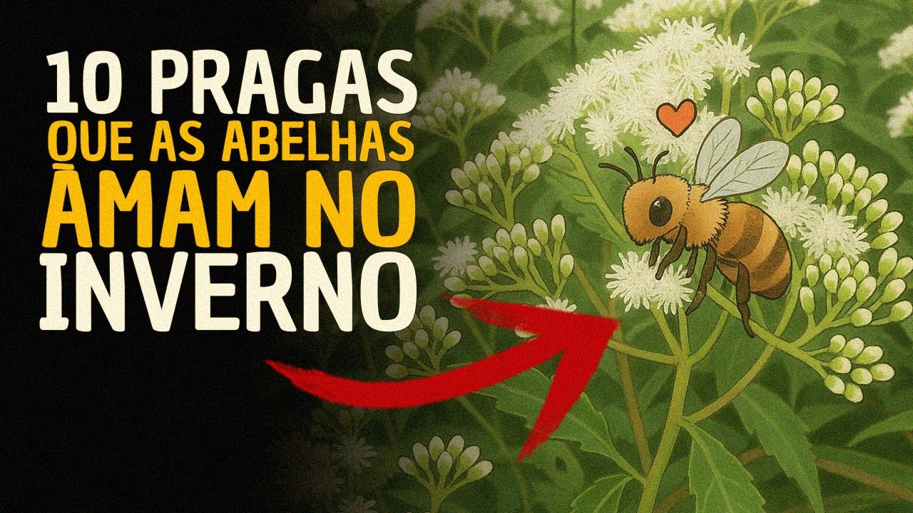 10 MELHORES PRAGAS para ALIMENTAR suas abelhas no INVERNO 🐝❄️
