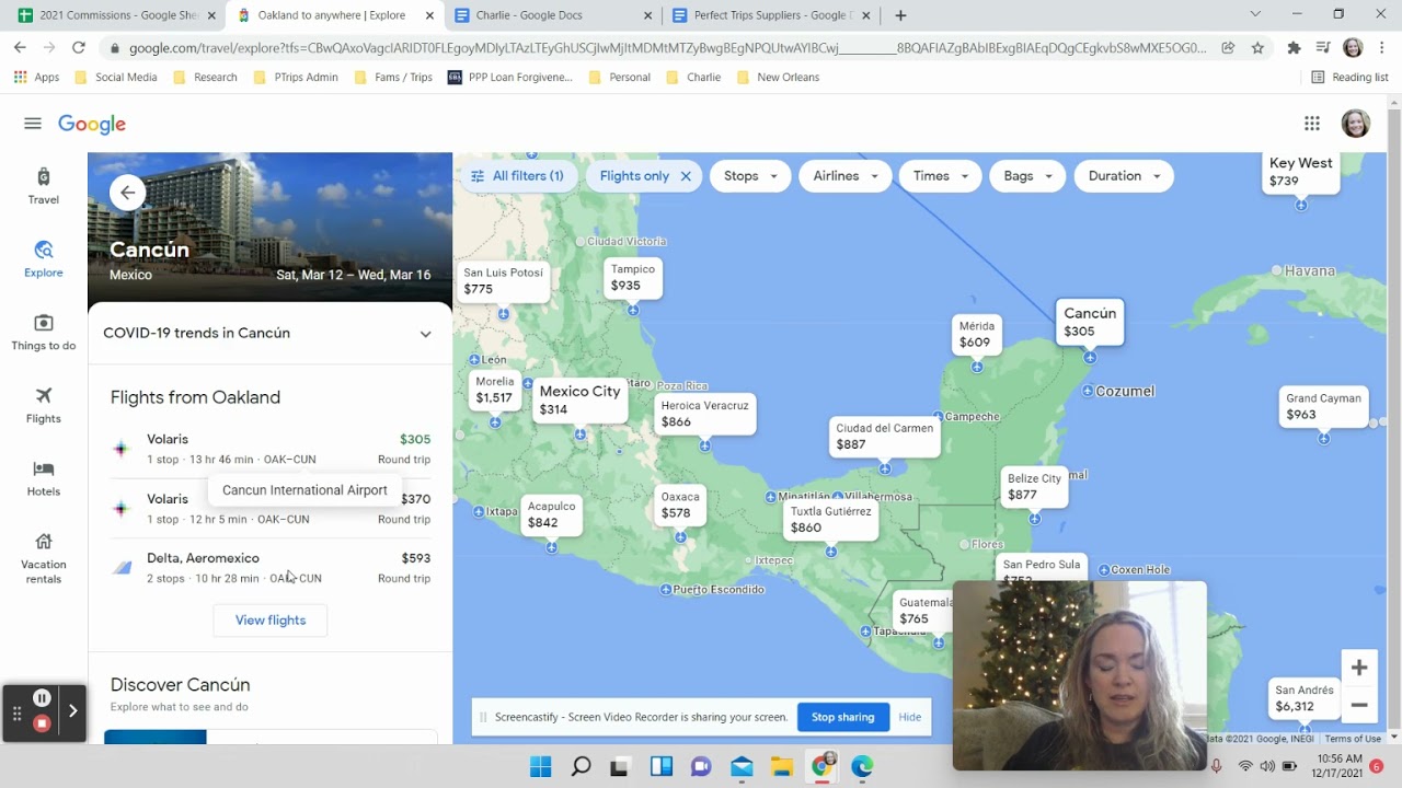 Google Flight Matrix