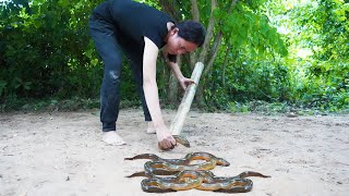 Amazing eel Trap; How To Catch eel Using Bamboo Trap And Cooking eel With Water Coconut