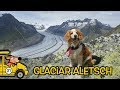 ALPES Suiza | Vantrip #21 | Glaciar Aletsch