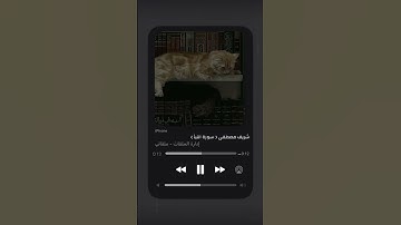 تلاوة قرأنية لسورة النبأ للقارئ شريف مصطفى