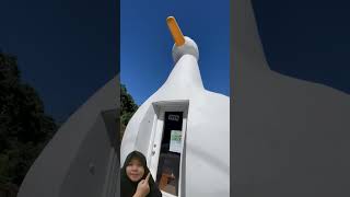 Giant Duck House duck shorts funny
