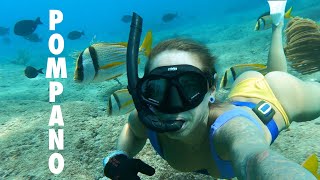 Pompano Beach Dive