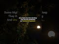 Sleepless Night | Overthinking | UnSaid Thought | Unanswered Questions | Song | love | Tara🦋 #viral