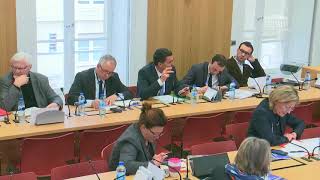 Audition de Nicole Notat en commission des affaires economiques à l' Assemblée Nationale.