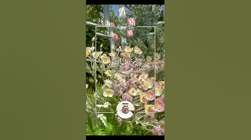 {ءامنوا بالله ورسوله وأنفقوا}♡سورة الحديد♡ القارئ أحمد العجمي ♥️🌻