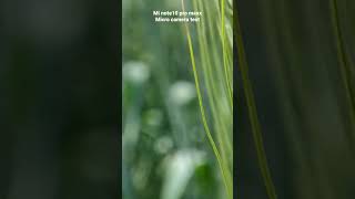 Mi Note10 Pro Ma Micro Camera Test