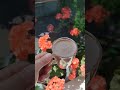 #vlog #coffee #vlogmas #love #life #live #temizlik #music #family #kahve #reels #fyp #shop #routines