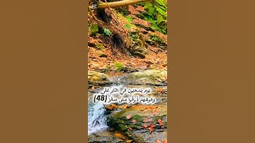 آية من سورة القمر بصوت جميل ورائع