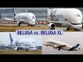 BELUGA 3 vs. XL3 - Two Generations of Airbus Transporters at Finkenwerder