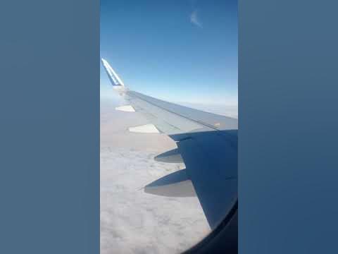 флай арыстан - YouTube