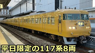 【ダイヤ改正】平日限定運用に残った117系8両（2023-3-20）