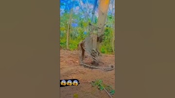 #Jcb #video #new #reel #automobile #big #snake 🐍🐍🐍 #excavator #farming #tending #youtubeshorts