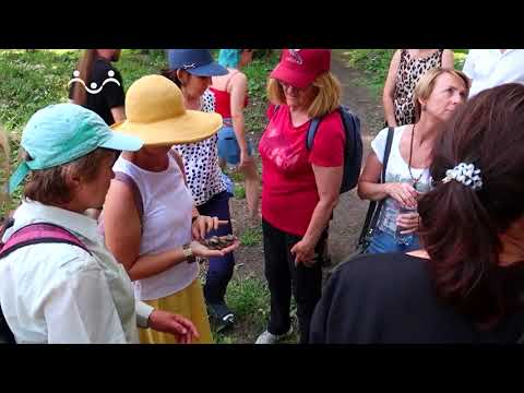 Ориентиры про события на 21 августа